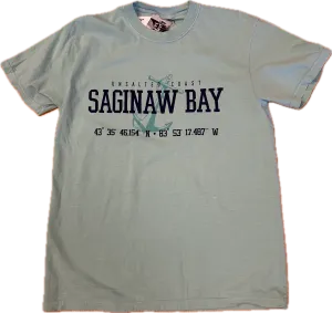 Anchor Design - Saginaw Bay