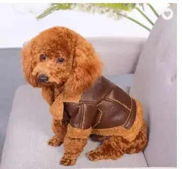 Punk Leather Sweater – Dog Clothes